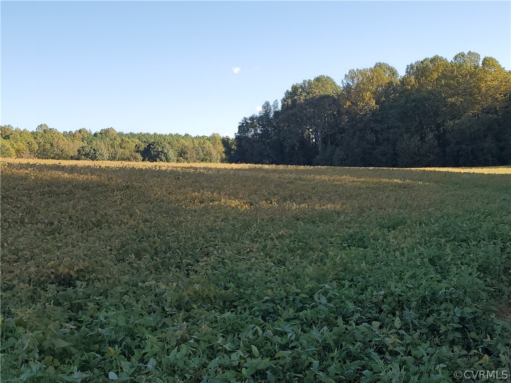 0 Wickham Ridge Drive Beaverdam, VA 23015 - Photo 12 of 29 Gallery Image 12