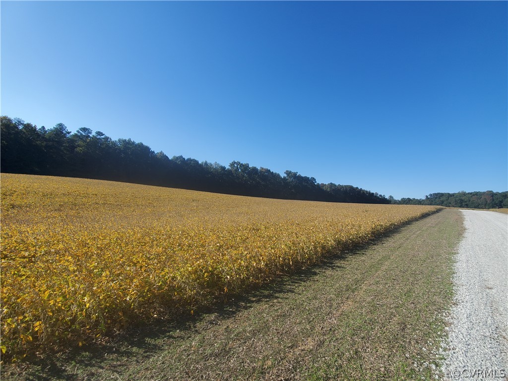 0 Wickham Ridge Drive Beaverdam, VA 23015 - Photo 13 of 29 Gallery Image 13