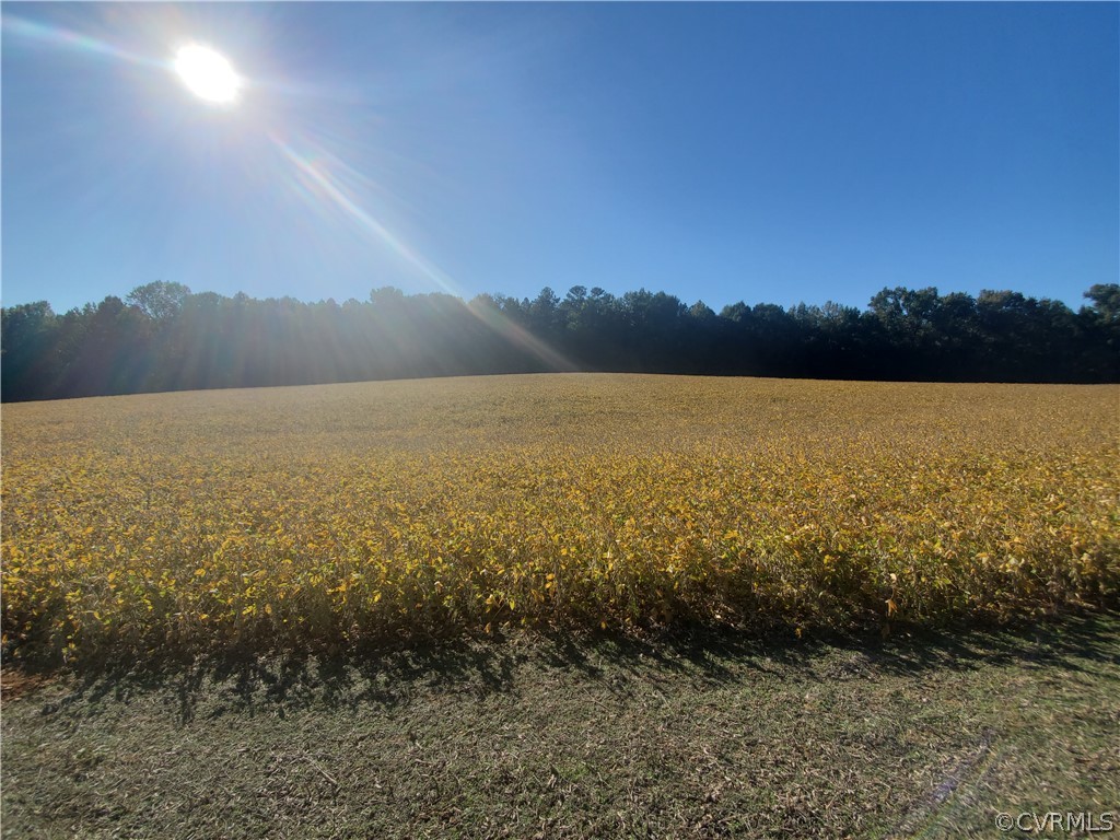 0 Wickham Ridge Drive Beaverdam, VA 23015 - Photo 15 of 29 Gallery Image 15