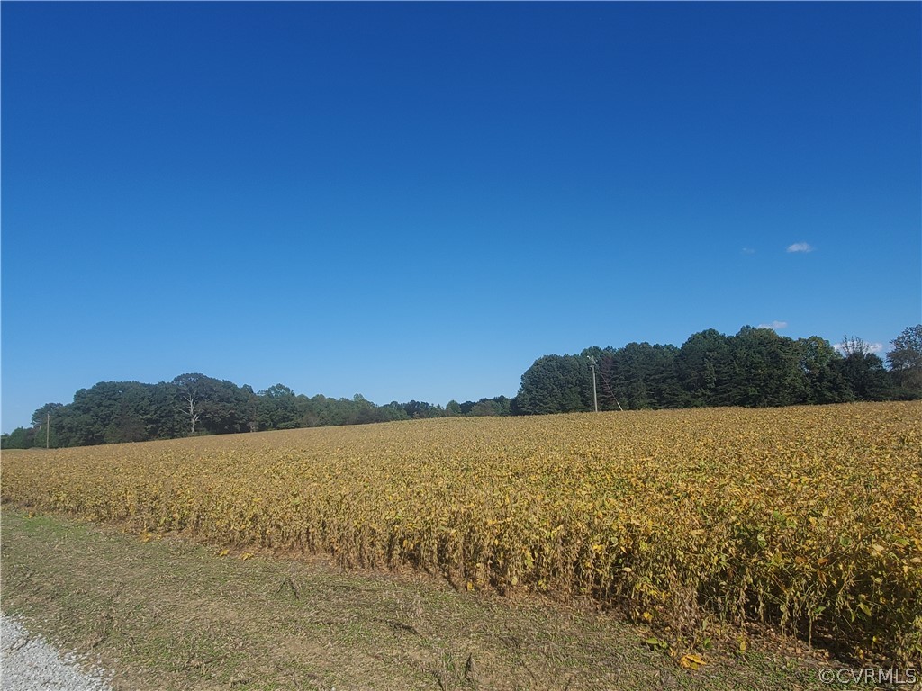 0 Wickham Ridge Drive Beaverdam, VA 23015 - Photo 16 of 29 Gallery Image 16