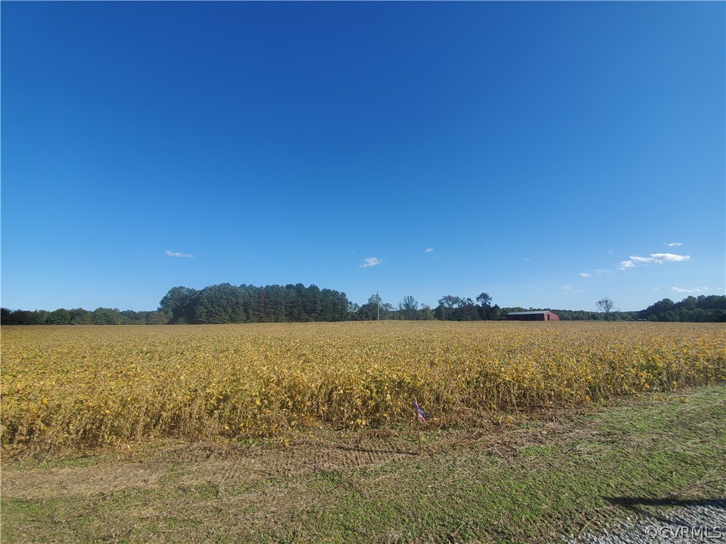 0 Wickham Ridge Drive Beaverdam, VA 23015 - Photo 24 of 29 Gallery Image 24