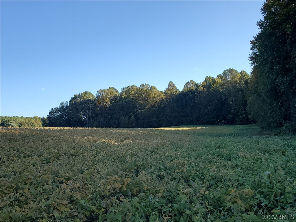 0 Wickham Ridge Drive Beaverdam, VA 23015 - Photo 10 of 29 Gallery Image 10