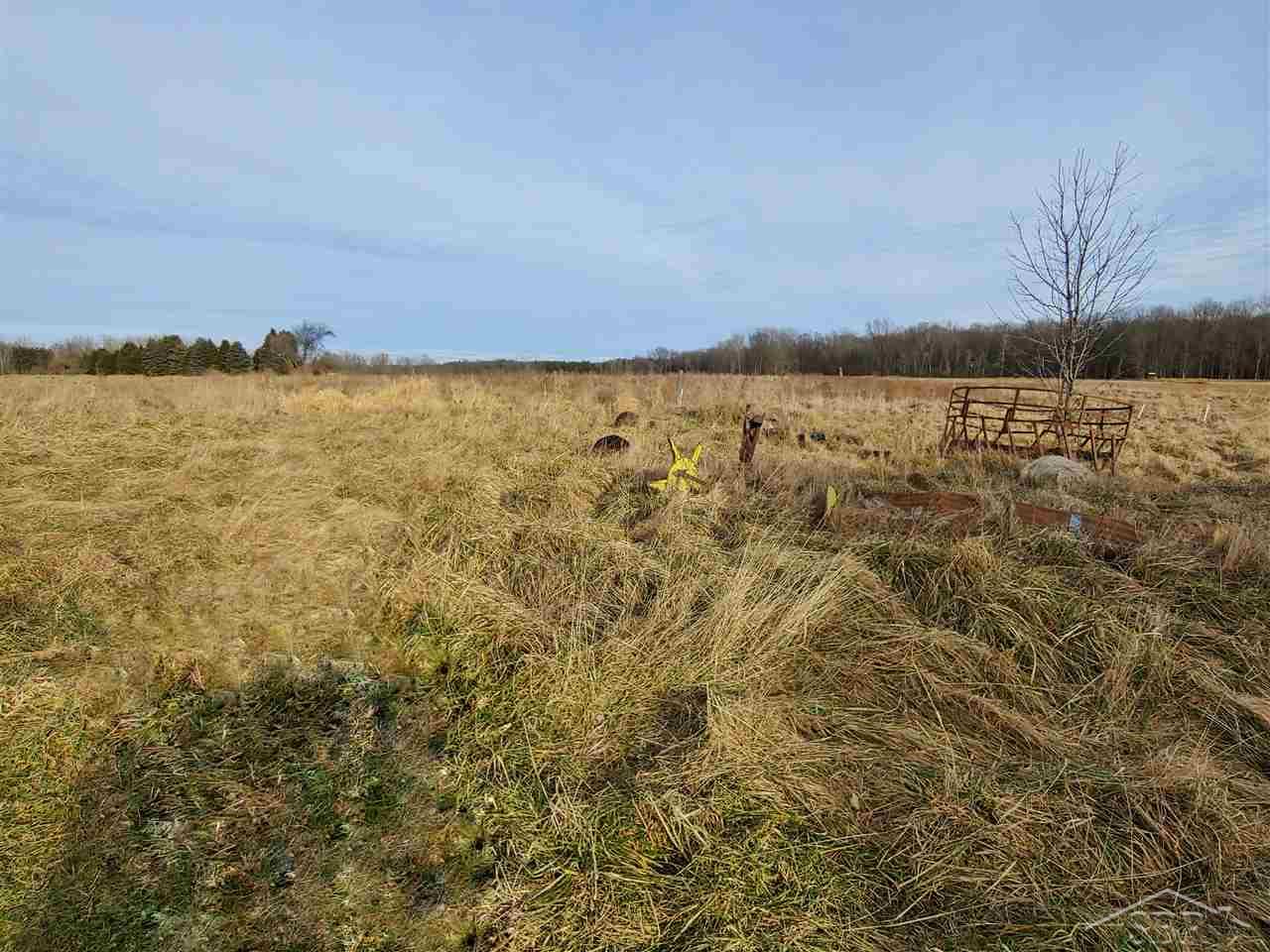 2289 South Barry Road Ithaca, MI 48847 - Photo 34 of 37 50031745-33.JPG
