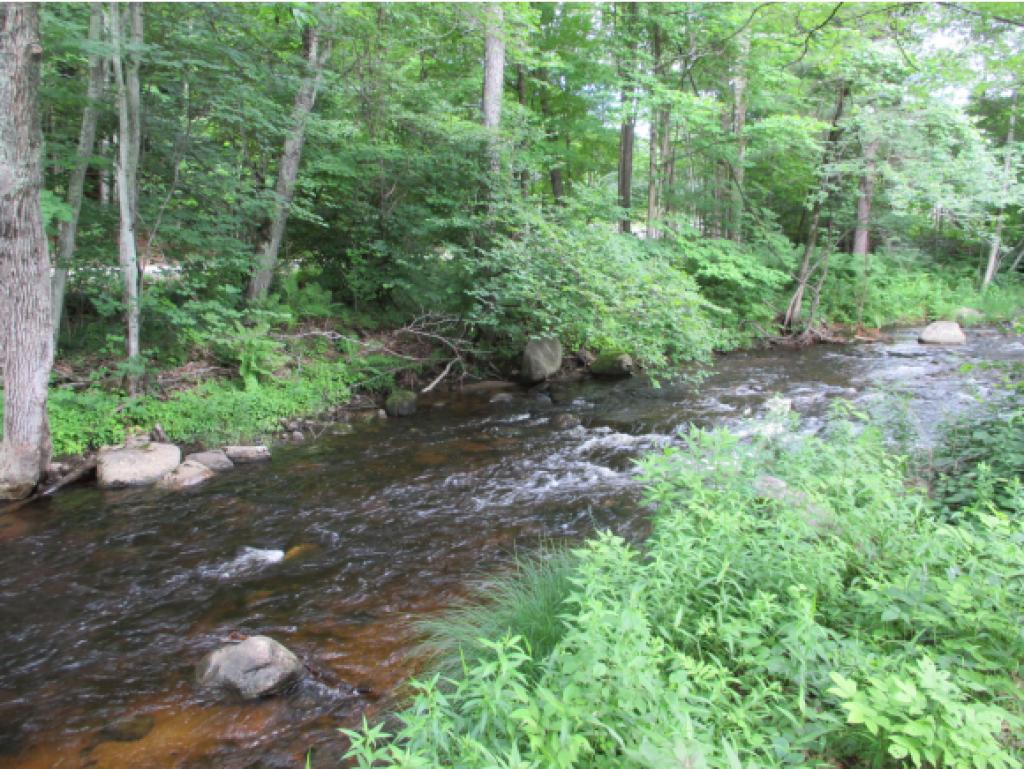 46 Scotland Road Winchester, NH 03470 - Photo 26 of 28