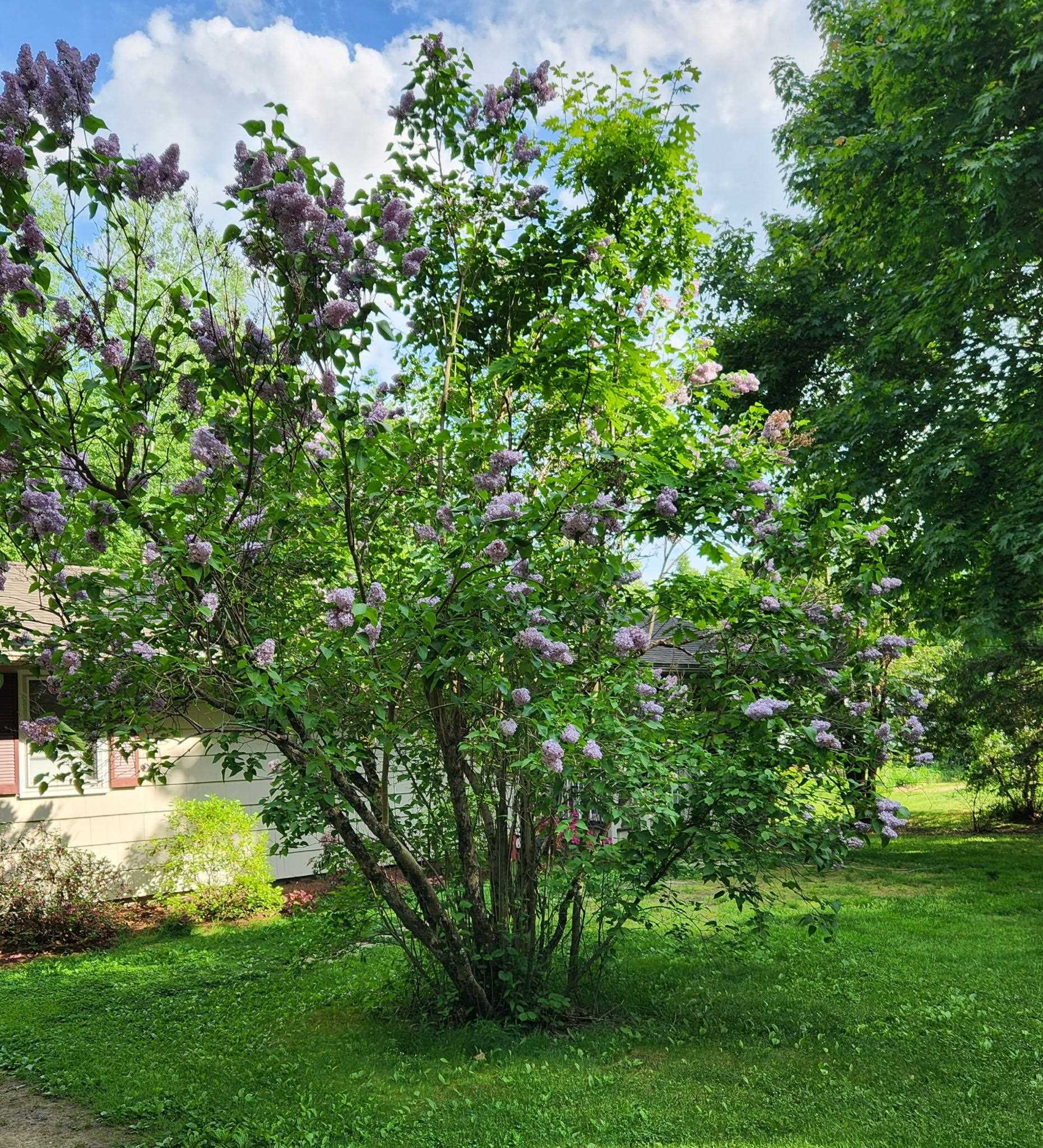 5 Quarry Road Somersworth, NH 03878 - Photo 23 of 24