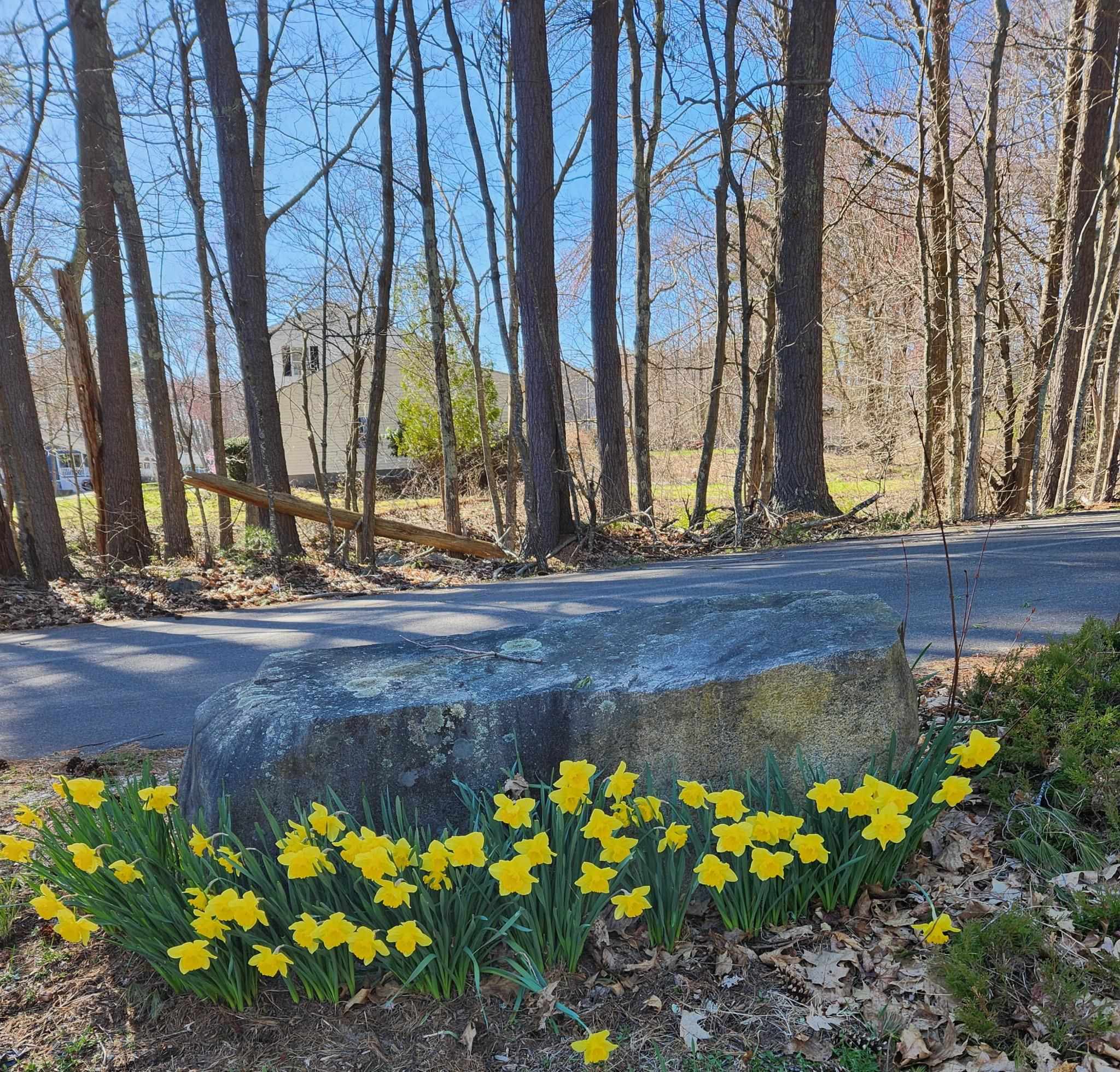 5 Quarry Road Somersworth, NH 03878 - Photo 24 of 24