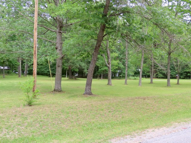 10810 River Road Atlanta, MI 49709 - Photo 12 of 34 Gallery Image 12
