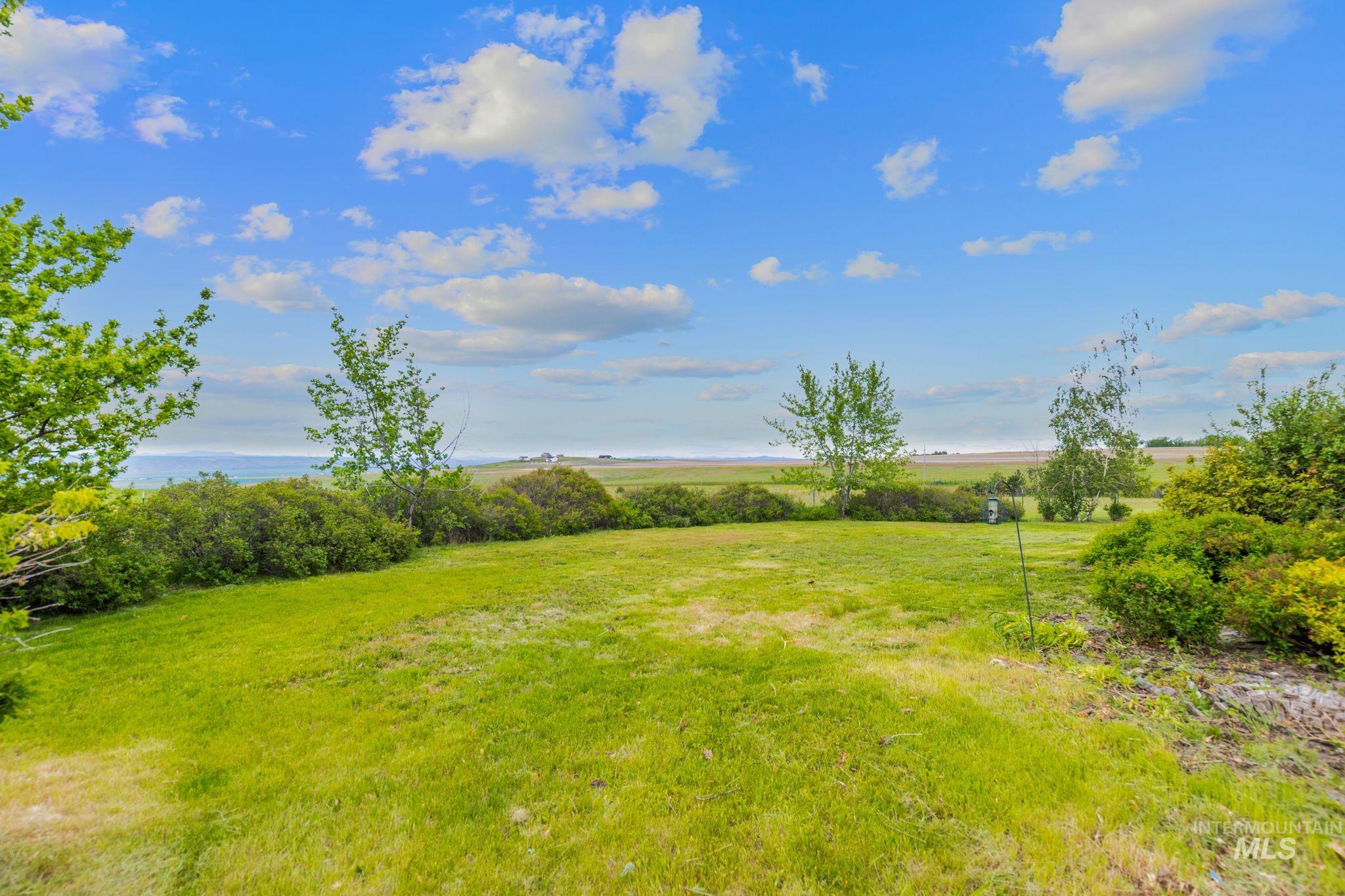 37989 Rosenkrantz Road Lewiston, ID 83501 - Photo 45 of 50 Expansive green lawn with established shrubbery and mature trees, featuring a distant body of water and open fields under a bright blue sky