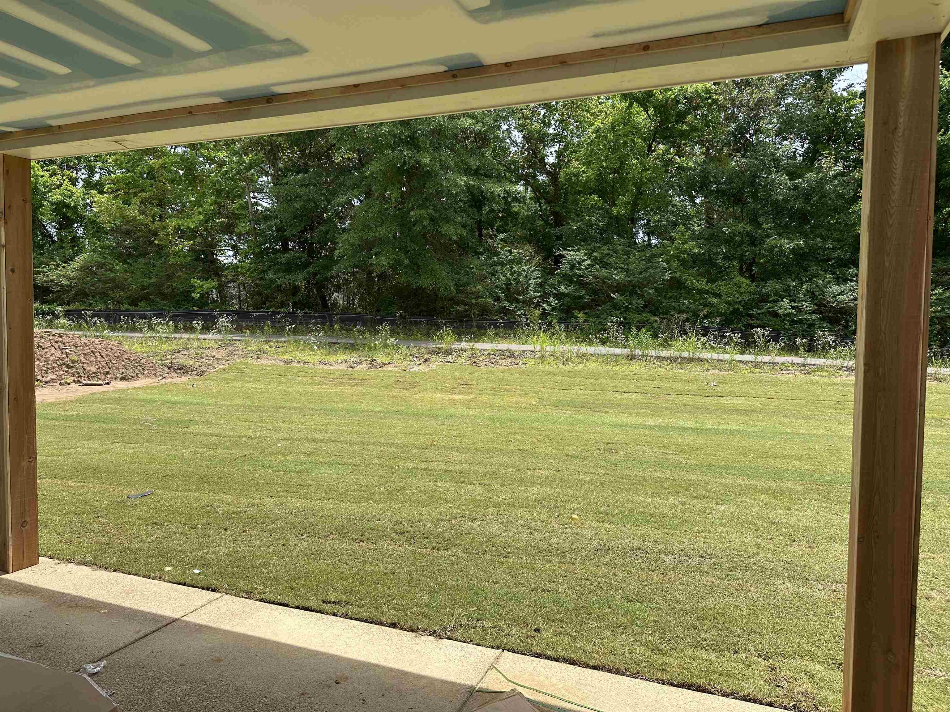 10147 Conner Field Lane Lakeland, TN 38002 - Photo 23 of 28 View of yard featuring view of scattered trees