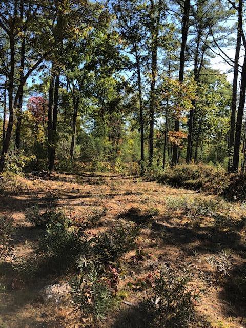 Lot 1 Saco Road Hollis Center, ME 04042 - Photo 1 of 3 SacoRd4