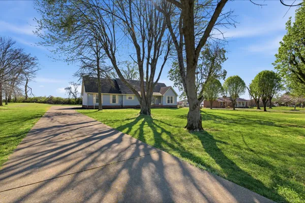 a view of a park with large trees
