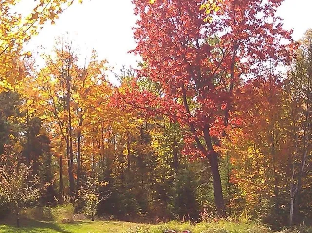 $359,000 | 94241 South Net Lake Road, Holyoke, MN 55749