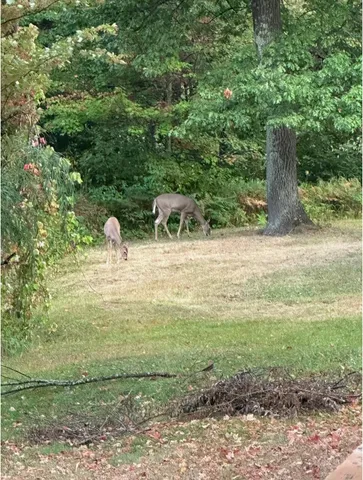 $359,000 | 94241 South Net Lake Road, Holyoke, MN 55749