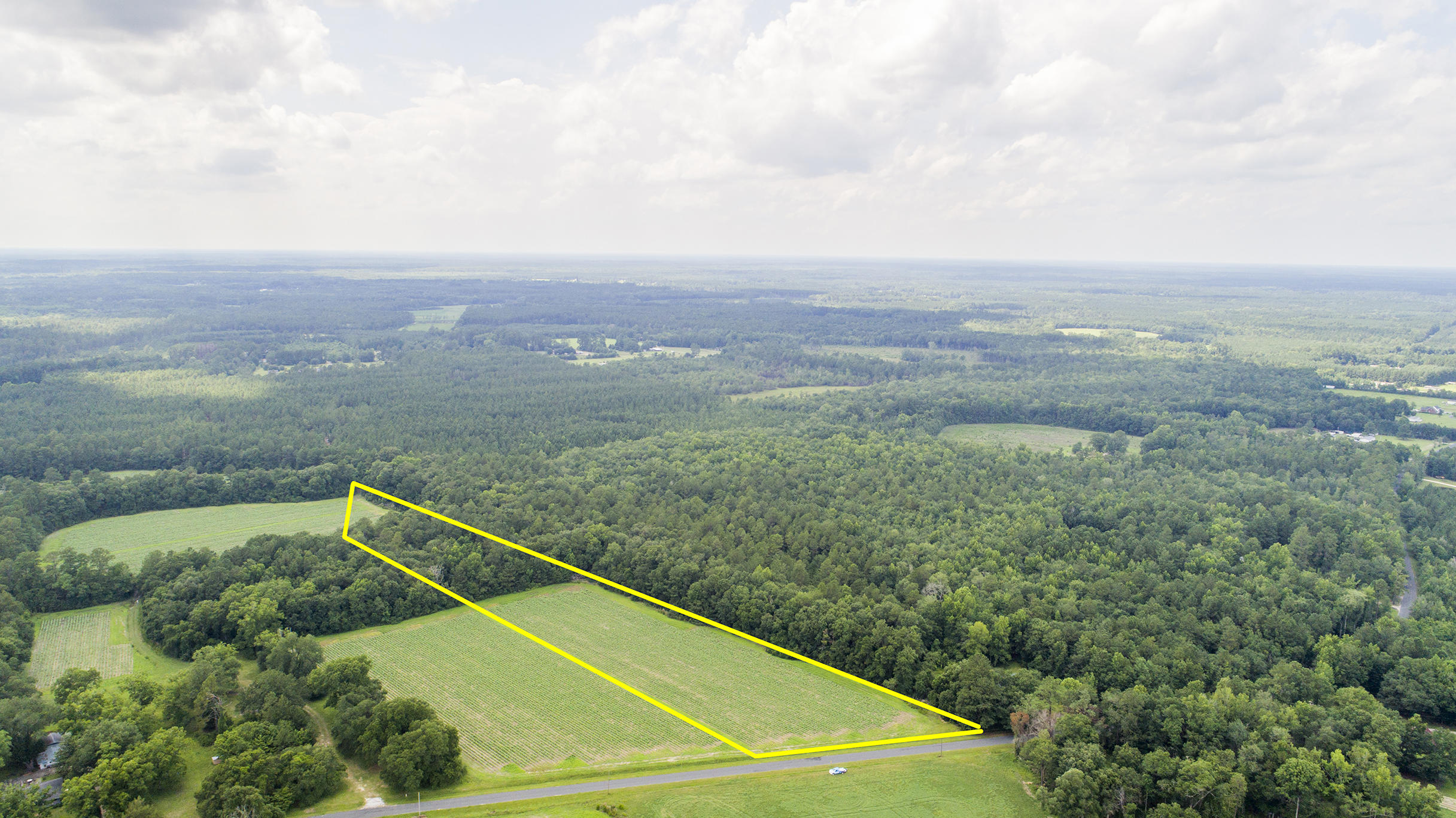 0 Fire Hill Road Walterboro, SC 29488 - Photo 5 of 20 FireHill_Edited_004 copy