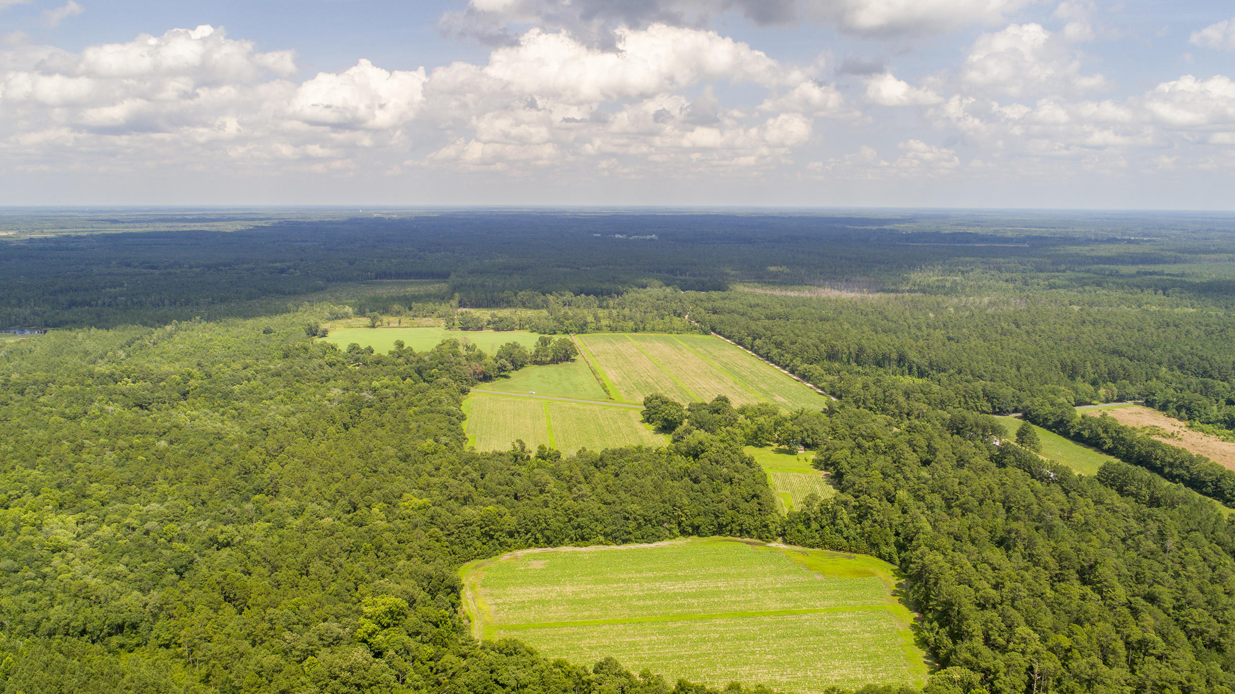 0 Fire Hill Road Walterboro, SC 29488 - Photo 9 of 20 FireHill_Edited_011