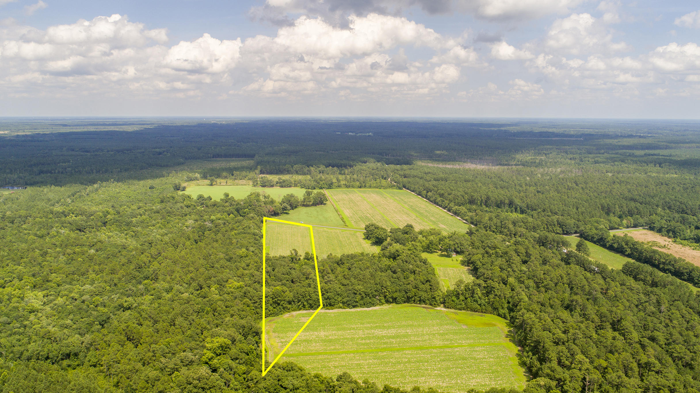 0 Fire Hill Road Walterboro, SC 29488 - Photo 10 of 20 FireHill_Edited_011 copy