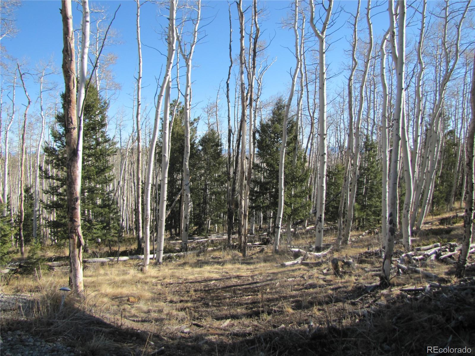 8165 Ranch Road Hartsel, CO 80449 - Photo 11 of 16