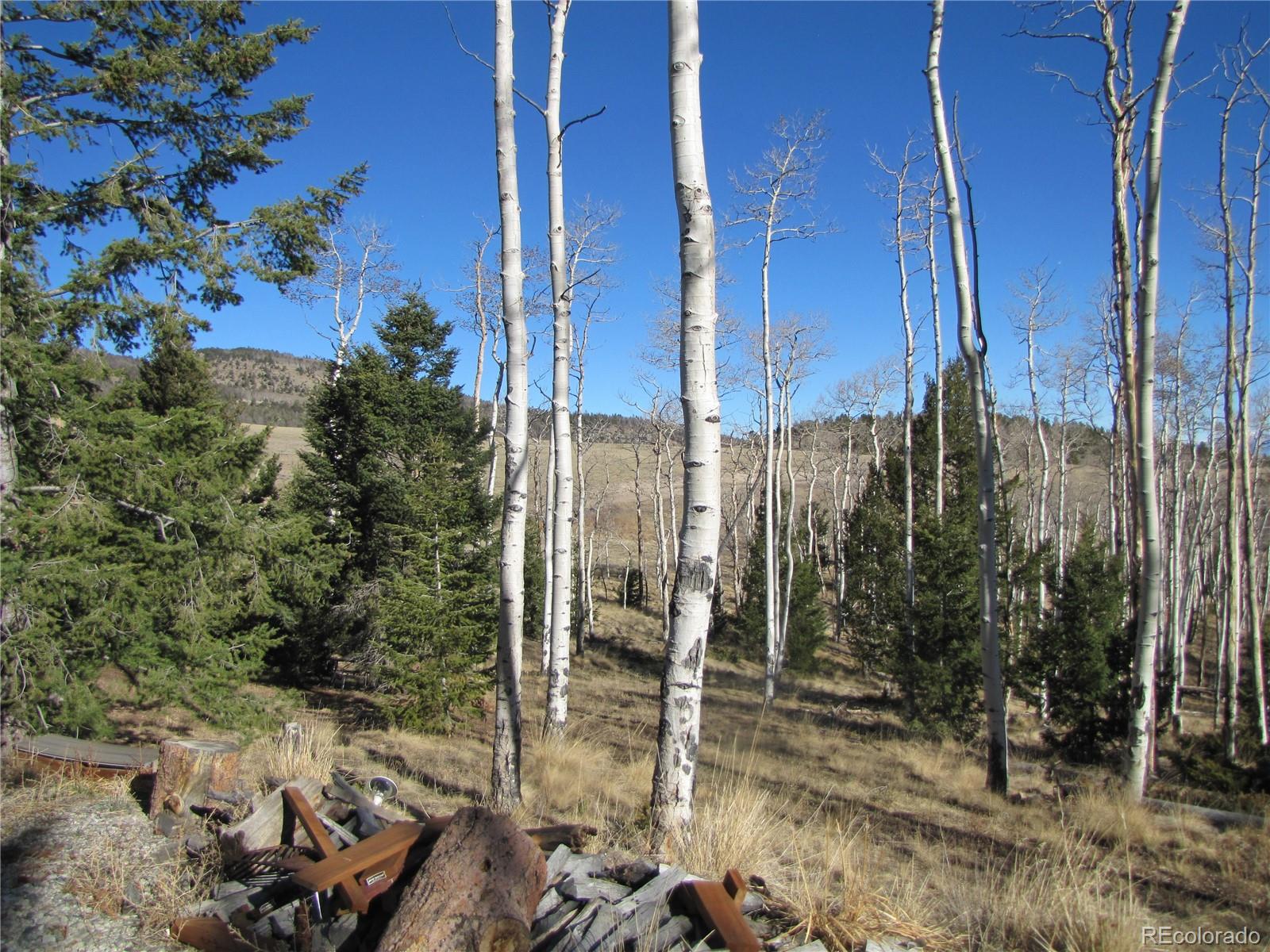 8165 Ranch Road Hartsel, CO 80449 - Photo 12 of 16