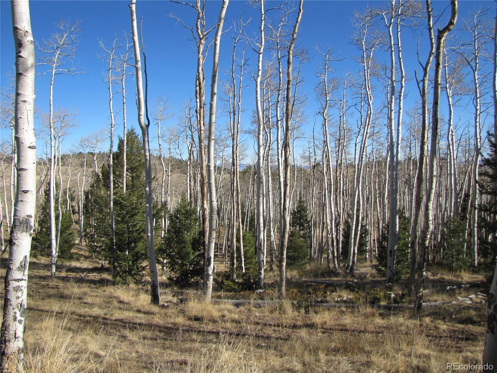 8165 Ranch Road Hartsel, CO 80449 - Photo 13 of 16