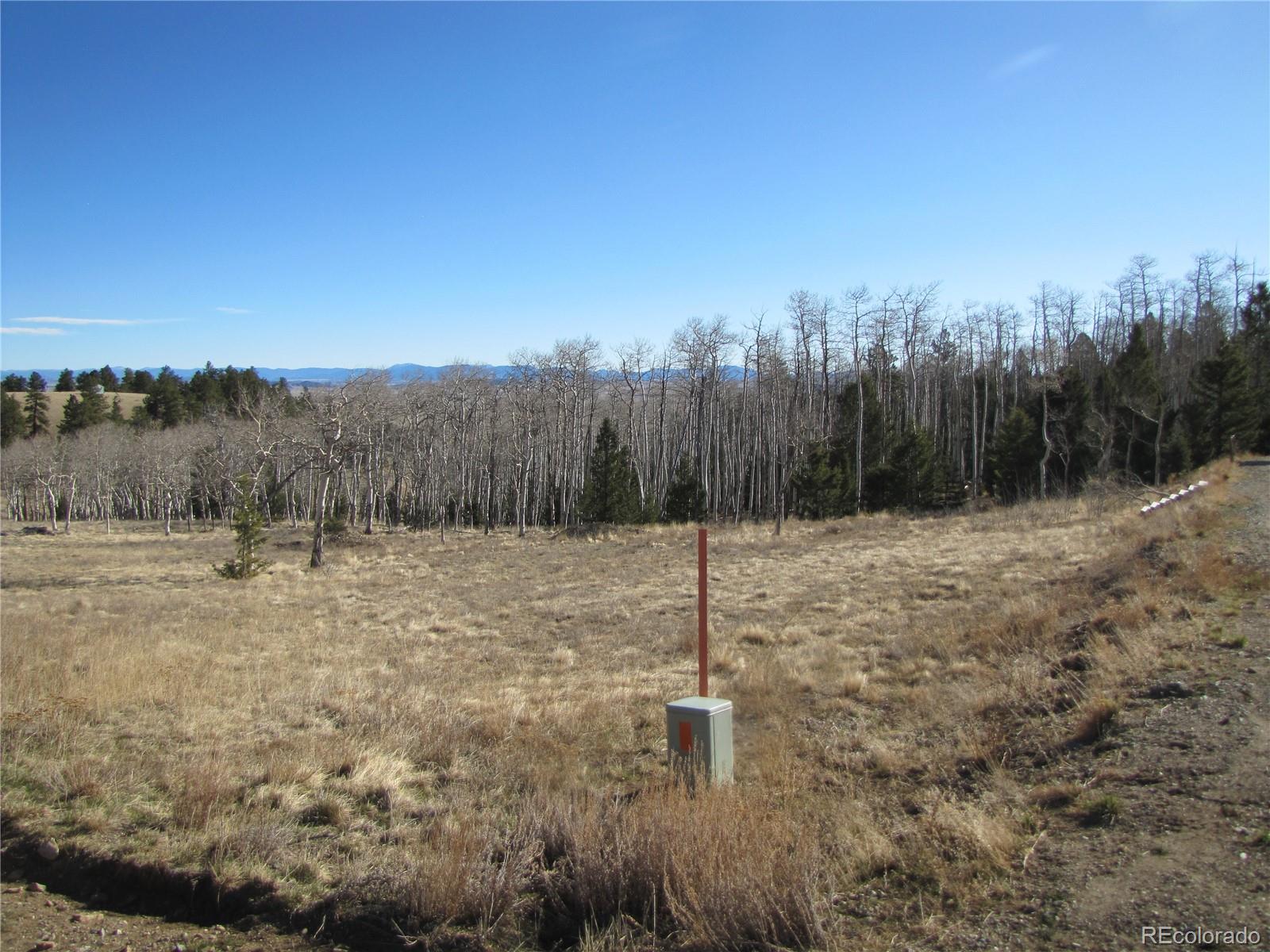 8165 Ranch Road Hartsel, CO 80449 - Photo 15 of 16