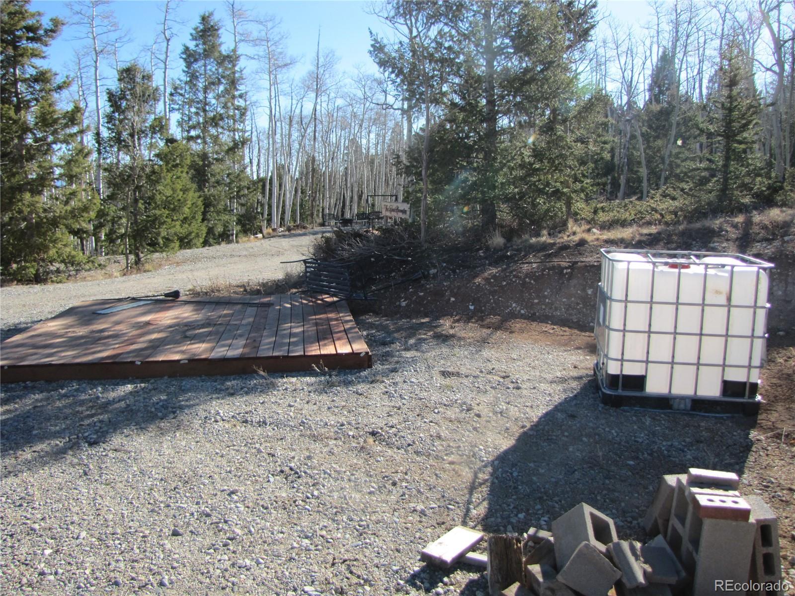 8165 Ranch Road Hartsel, CO 80449 - Photo 6 of 16