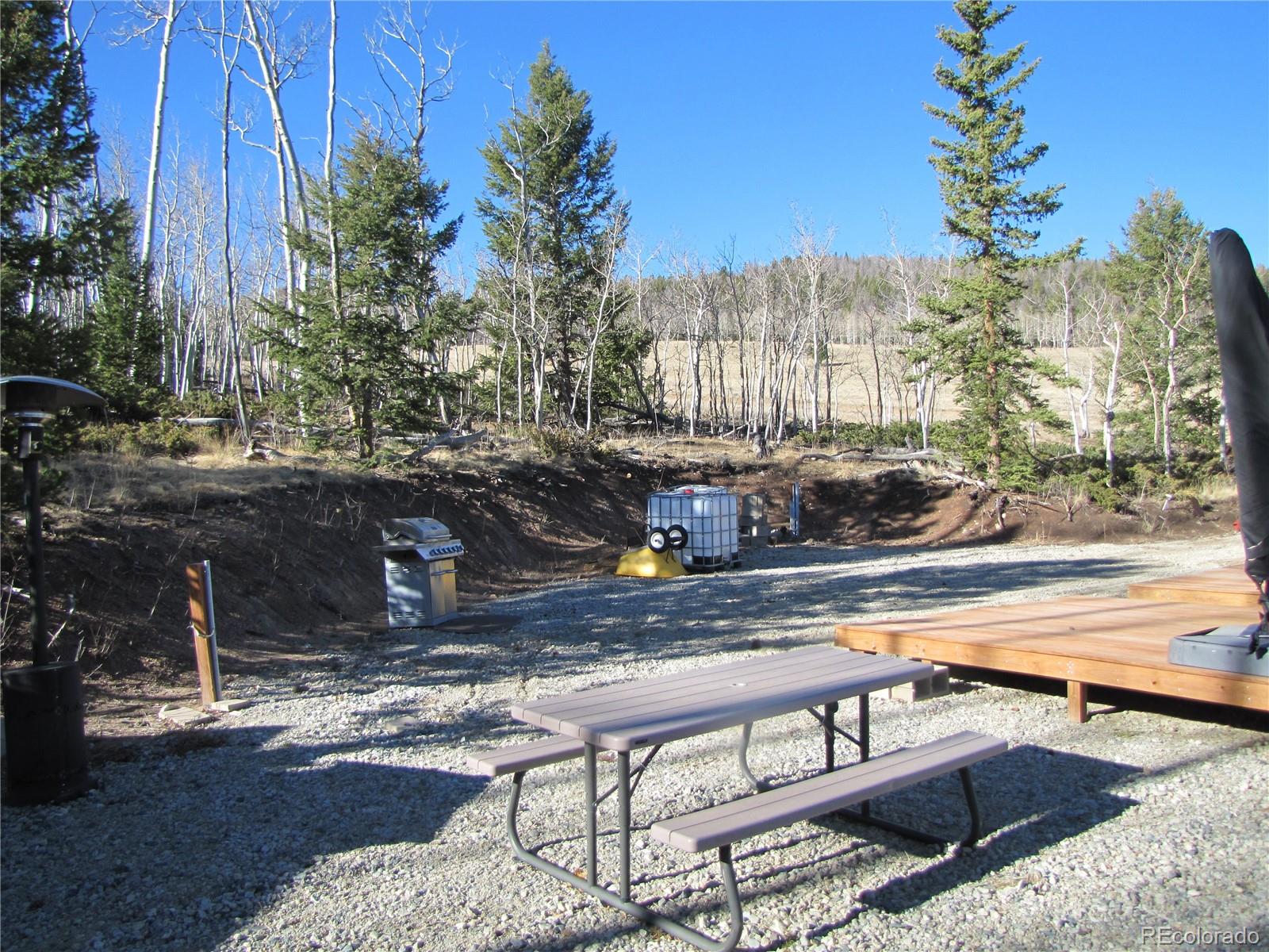 8165 Ranch Road Hartsel, CO 80449 - Photo 9 of 16