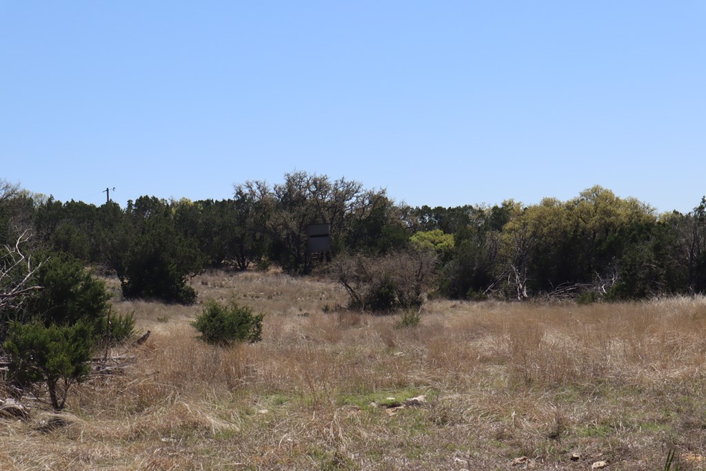 462 Schenk Witkowski Road Rocksprings, TX 78880 - Photo 11 of 51