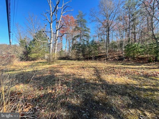 852 Cedar Grove Road Winchester, VA 22603 - Photo 1 of 21 a view of a yard with trees