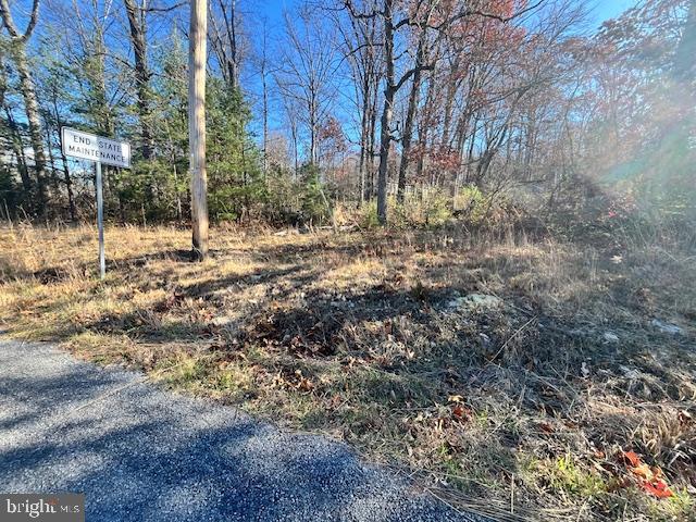 852 Cedar Grove Road Winchester, VA 22603 - Photo 11 of 21 a view of a yard with plants and trees