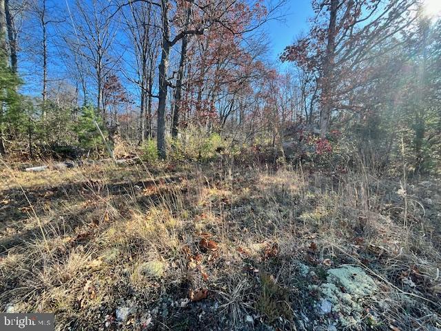 852 Cedar Grove Road Winchester, VA 22603 - Photo 12 of 21 a view of a yard