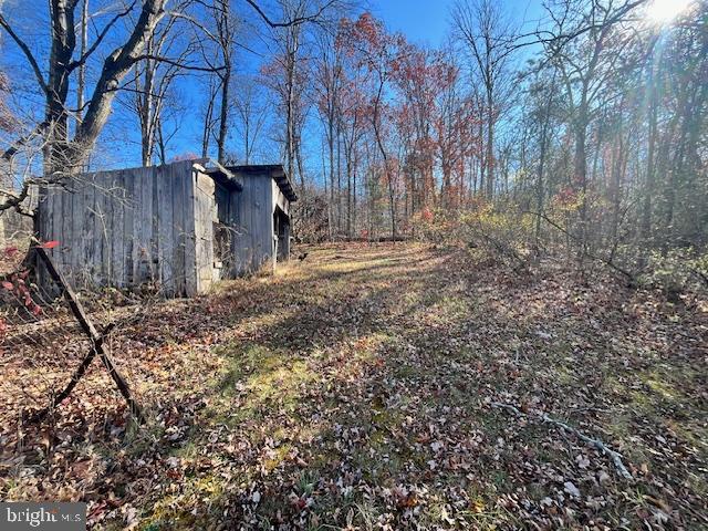 852 Cedar Grove Road Winchester, VA 22603 - Photo 13 of 21 a view of backyard and tree