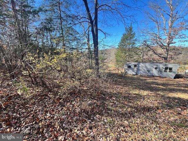 852 Cedar Grove Road Winchester, VA 22603 - Photo 14 of 21 a view of a yard with large tree