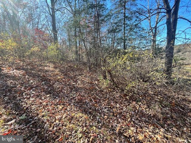 852 Cedar Grove Road Winchester, VA 22603 - Photo 15 of 21 a view of a yard with a tree