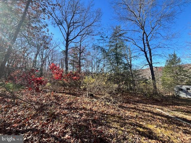 852 Cedar Grove Road Winchester, VA 22603 - Photo 17 of 21 a view of a yard