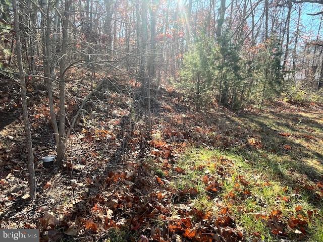 852 Cedar Grove Road Winchester, VA 22603 - Photo 19 of 21 a view of outdoor space and covered with green space