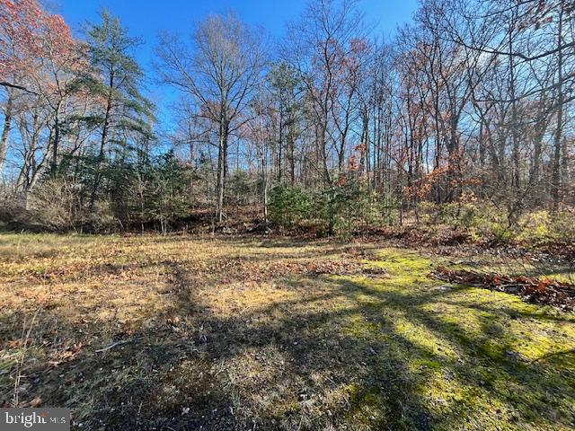 852 Cedar Grove Road Winchester, VA 22603 - Photo 20 of 21 a view of outdoor space with deck