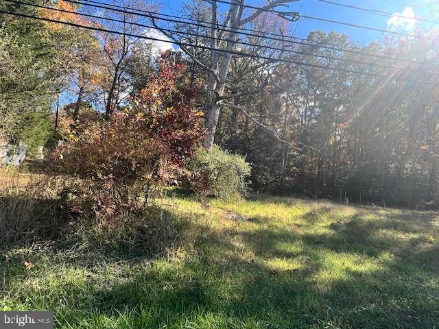 852 Cedar Grove Road Winchester, VA 22603 - Photo 2 of 21