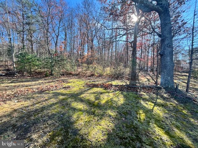 852 Cedar Grove Road Winchester, VA 22603 - Photo 21 of 21 a backyard of a house with lots of green space