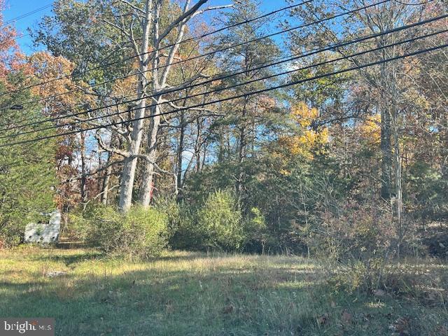 852 Cedar Grove Road Winchester, VA 22603 - Photo 3 of 21 a view of outdoor space and yard