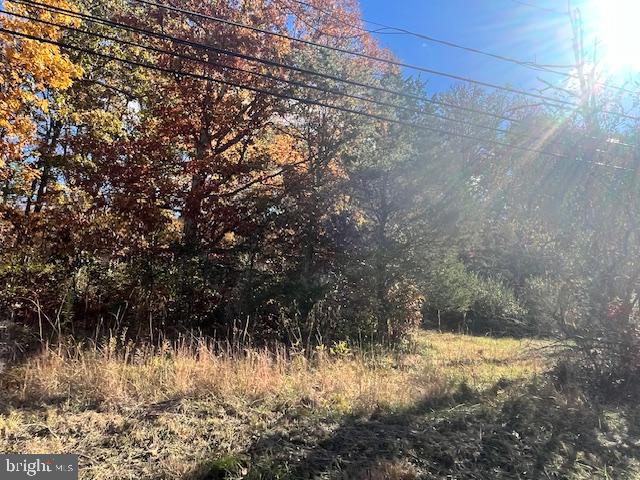 852 Cedar Grove Road Winchester, VA 22603 - Photo 5 of 21 a view of a yard