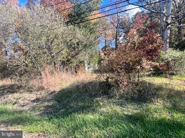 852 Cedar Grove Road Winchester, VA 22603 - Photo 6 of 21 a view of a yard