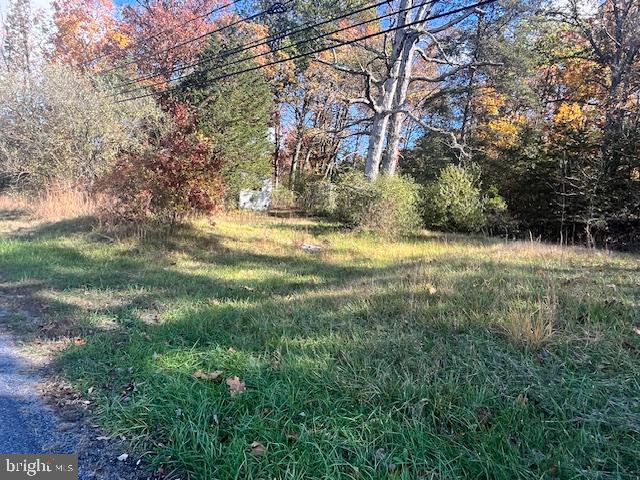852 Cedar Grove Road Winchester, VA 22603 - Photo 8 of 21 a view of a yard with large trees