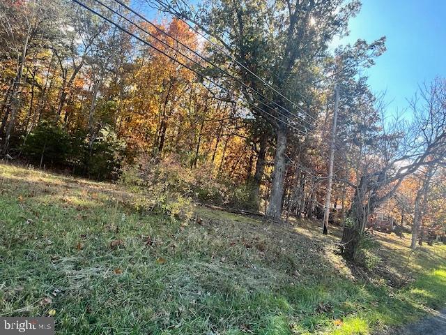852 Cedar Grove Road Winchester, VA 22603 - Photo 9 of 21 a view of outdoor space and trees