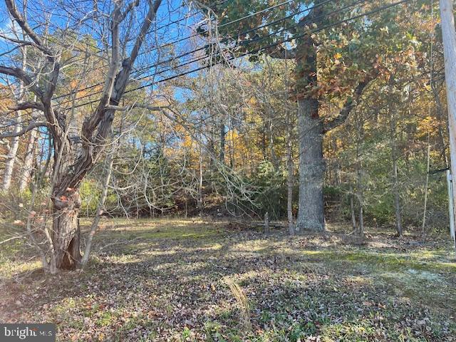 852 Cedar Grove Road Winchester, VA 22603 - Photo 10 of 21 a backyard of a house with lots of green space