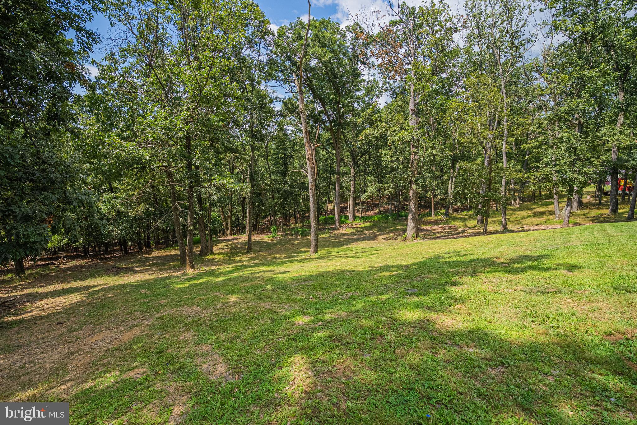 14608 Brant Road Southwest Cresaptown, MD 21502 - Photo 36 of 40 a view of a park with large trees