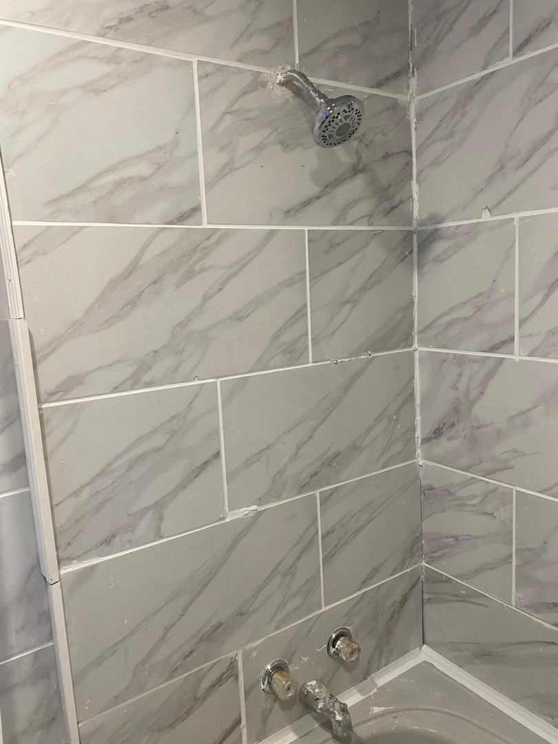 60 East 91st Street Chicago, IL 60619 - Photo 3 of 4 a bathroom with a shower