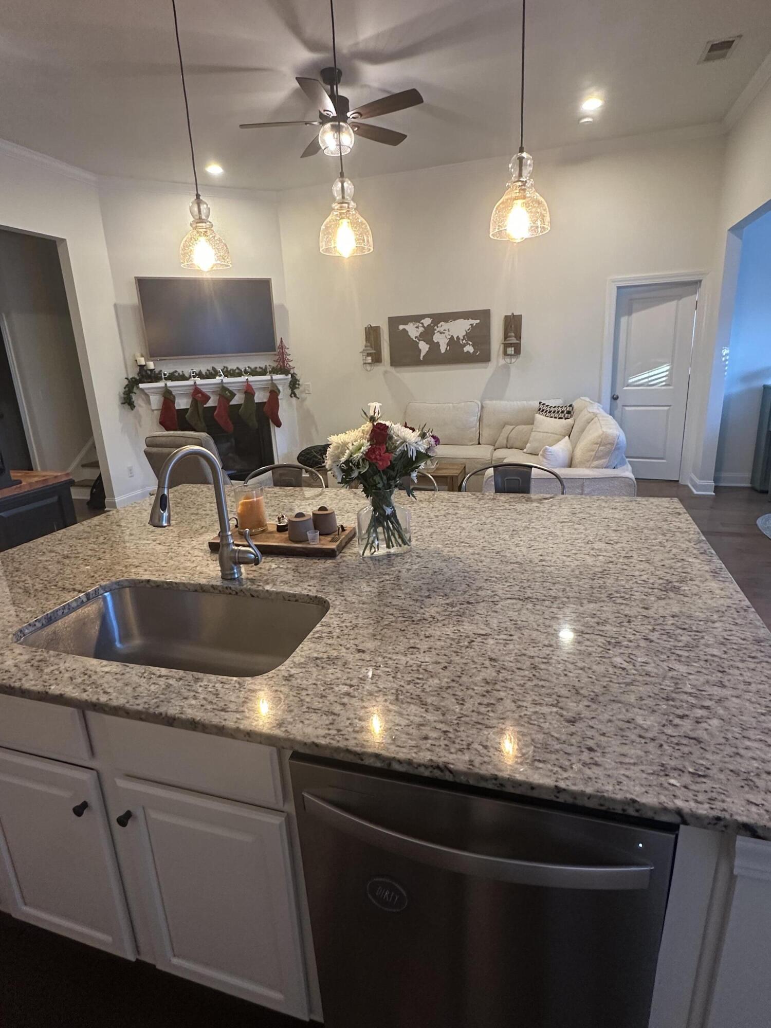 224 Killdeer Court Mount Pleasant, SC 29464 - Photo 6 of 21 IMG_8962