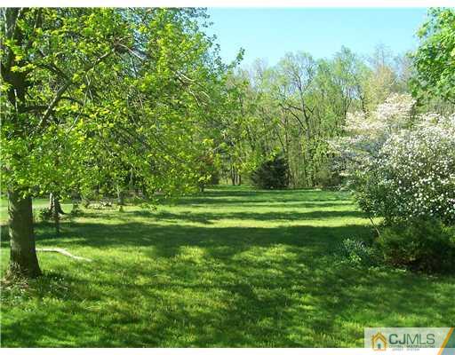 53 Copper Mine Road Princeton, NJ 08540 - Photo 14 of 17 a view of a grassy field with trees