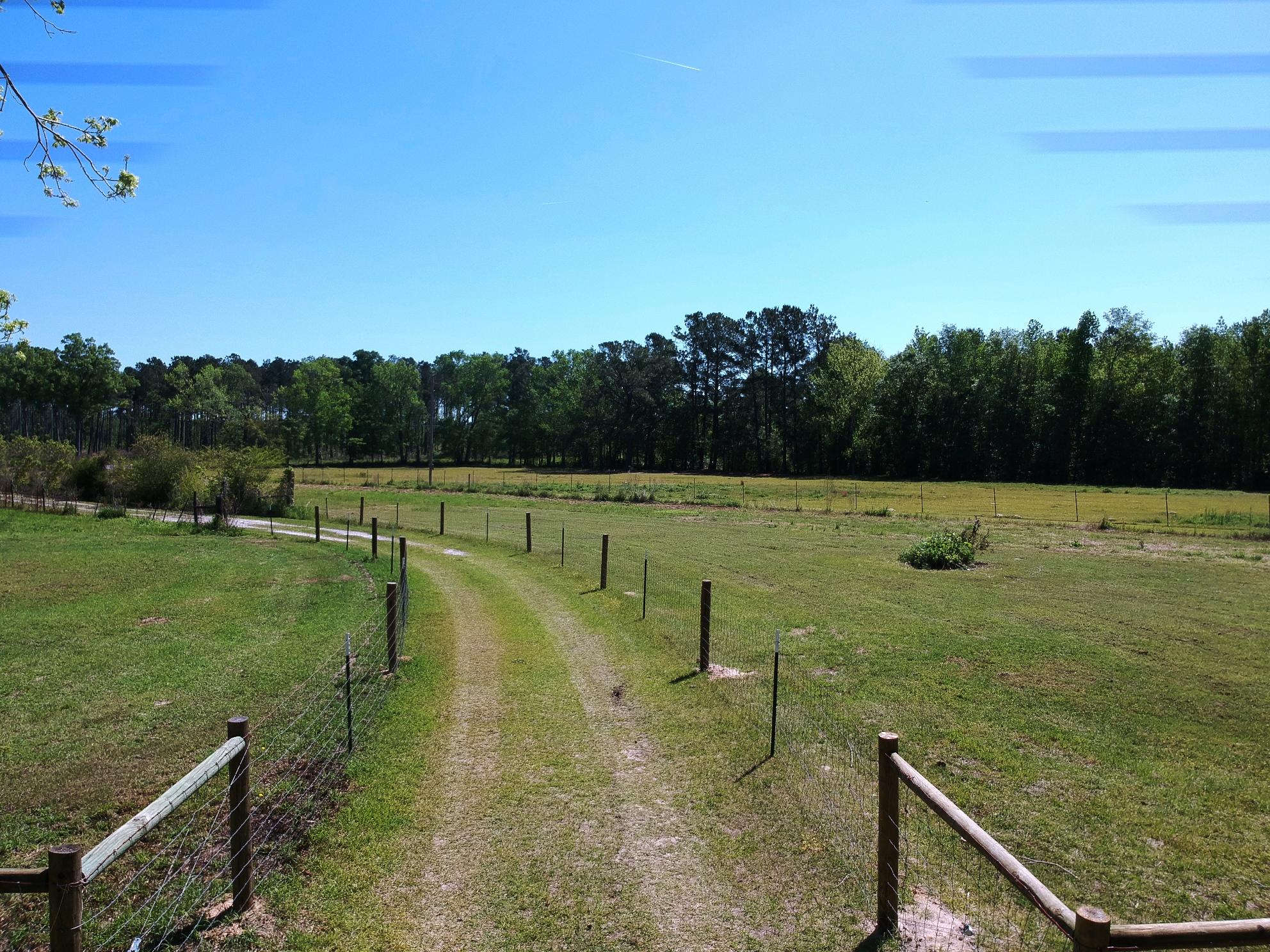 280 Seven Acres Road St. George, SC 29477 - Photo 11 of 64 08