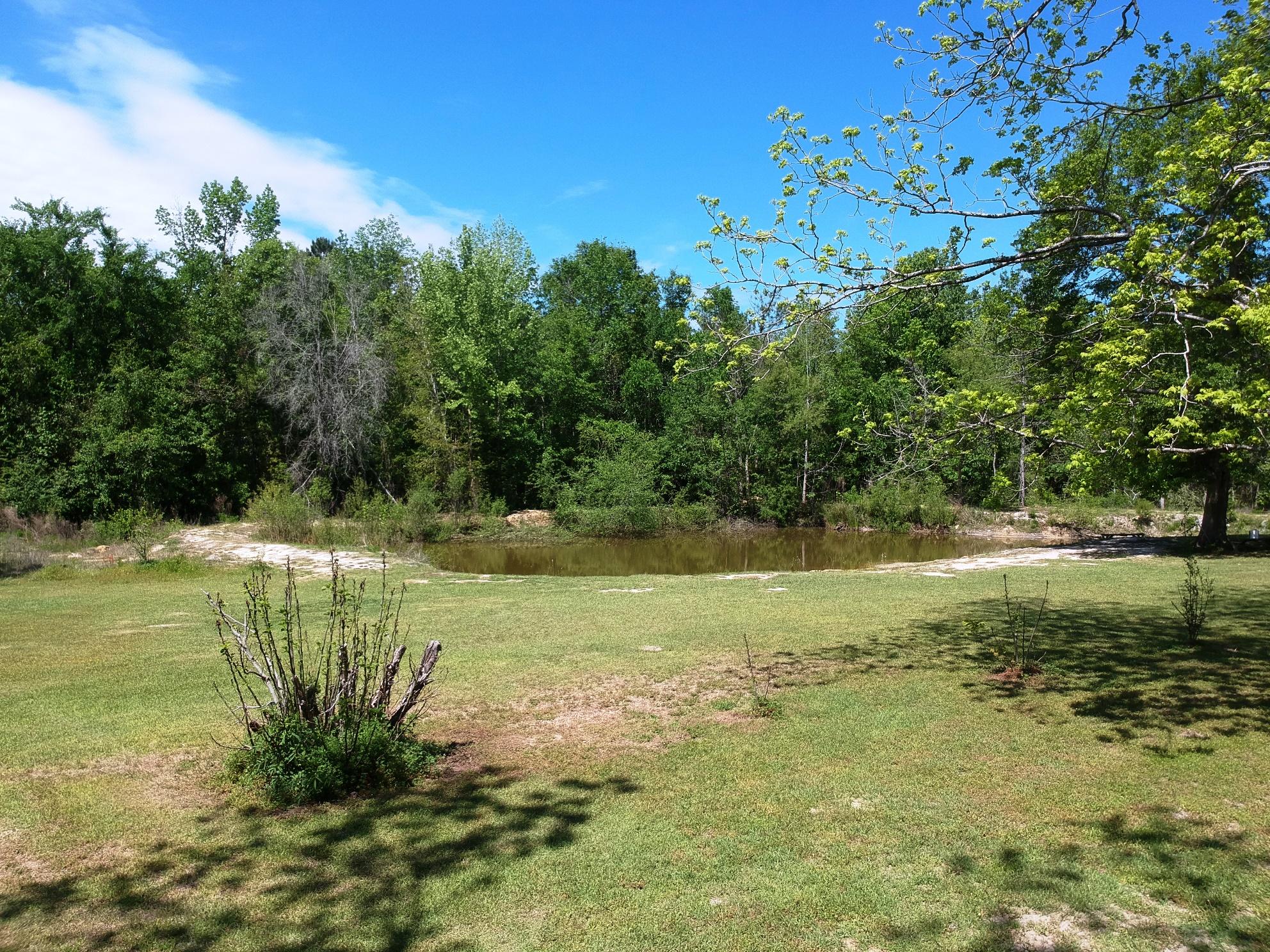 280 Seven Acres Road St. George, SC 29477 - Photo 38 of 64 16